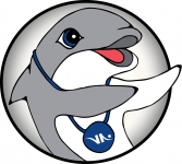 Villeurbanne_natation_dauphin_argent